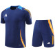 2024 AD Royal blue Training Short Suit