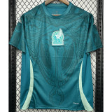 24-25 Mexico Green Blue Training shirts