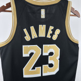 22-23 LAKERS JAMES #23 Black Glory Edition Top Quality Hot Pressing NBA Jersey (荣耀版)