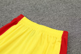24-25 LIV Yellow Training Short Suit