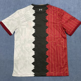 24-25 LIV Stitching Color Special Edition Training Shirts (红-黑-白)