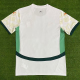24-25 Ivory coast Away Fans Soccer Jersey
