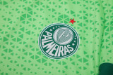 24-25 Palmeiras Light green Training Short Suit