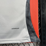 24-25 Benfica Grey Training Shirts