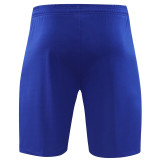 24-25 Brazil Blue Training Shorts Pants