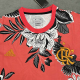24-25 Flamengo Red Special Edition Training shirts