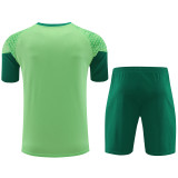 24-25 Palmeiras Light green Training Short Suit