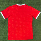 24-25 Bayern Red Casual style Fans Training shirts