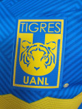 24-25 Tigres UANL Away Player Version Soccer Jersey