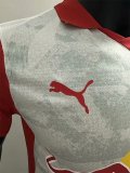 25-26 Salzburg FC Special Edition Player Version Soccer Jersey 萨尔斯堡红牛