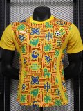 24-25 Ghana Yellow Player Version Training shirts