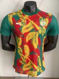 24-25 Senegal Red Yellow Green Player Version Training shirts