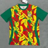 24-25 Senegal Red Yellow Green Fans Training shirts