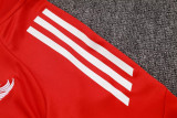 Liverpool Training Jersey Suit 2025/26 （半拉）