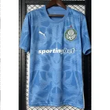 2025-26 Palmeiras Blue Goalkeeper Soccer Jersey