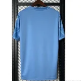 2025-26 Palmeiras Blue Goalkeeper Soccer Jersey