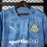 2025-26 Palmeiras Blue Goalkeeper Soccer Jersey