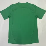 2025-26 Palmeiras Green Goalkeeper Soccer Jersey