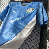 2025-26 Palmeiras Blue Goalkeeper Soccer Jersey