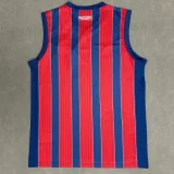 2025-26 BaHia Away Vest