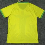 2025-26 Brazil Yellow Special Edition Training shirts (绿袖口)
