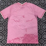 2025-26 Brazil Pink Special Edition Training shirts (女神)