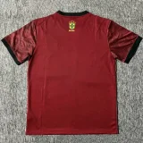 2025-26 Brazil Brown Red Special Edition Fans Soccer Jersey (黄标)