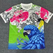 2025-26 Brazil Pink Blue Special Edition Training shirts