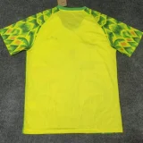 2025-26 Brazil Yellow Green Special Edition Training shirts