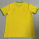 2025-26 Brazil Yellow Special Edition Training shirts (飞人)