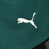 2025-26 Portugal Home Player Version Shorts Pants (High Quality)(球员短裤)