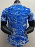 25-26 RMA Blue Special Edition Player Version Training Shirts (翻领龙)