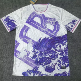 25-26 BAR Purple White Special Edition Training shirts