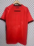 2025-26 Albania Home Fans Soccer Jersey