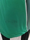 2025-26 Algeria Green Player Version Training shirts
