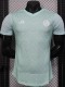 2025-26 Algeria Light green Player Version Training shirts