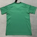 25-26 Al-Ahli Saudi Away Fans Soccer Jersey