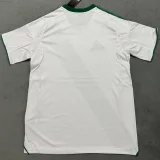 25-26 Al-Ahli Saudi Home Fans Soccer Jersey