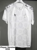2025-26 Real Madrid Silver Grey Special Edition Player Version Training Shirts (球员)