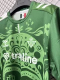 2025-26 Real Betis Día de Muertos Fans Soccer Jersey