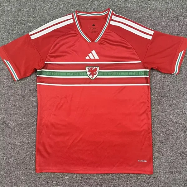2026-27 Wales Home Fans Soccer Jersey
