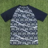 2025-26 Austria Grey Black Training shirts