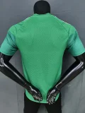 2026-27 Algeria Green Player Version Training shirts (红格)