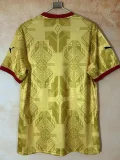 2026-27 Ghana Golden Fans Soccer Jersey