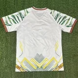 2026-27 Mali Green Fans Soccer Jersey
