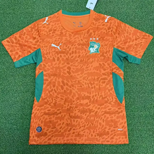2026-27 Ivory Coast Home Fans Soccer Jersey