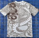 2025-26 Real Madrid Brown Special Edition Fans Training Shirts