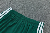 2026-27 Algeria Green Tank top and shorts suit