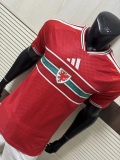 2026-27 Wales Home Player Version Soccer Jersey