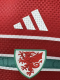 2026-27 Wales Home Player Version Soccer Jersey